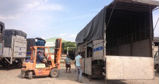 Chành xe chuyển hàng từ TP HCM đi Bình Định